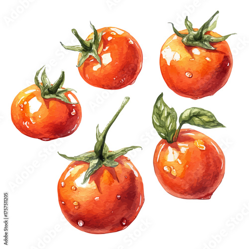Set Of Stuffed Cherry Tomatoes, watercolor clipart vector, isolated on a white background.