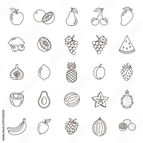 Line art illustration of various fruits including apple orange pear and tropical fruits