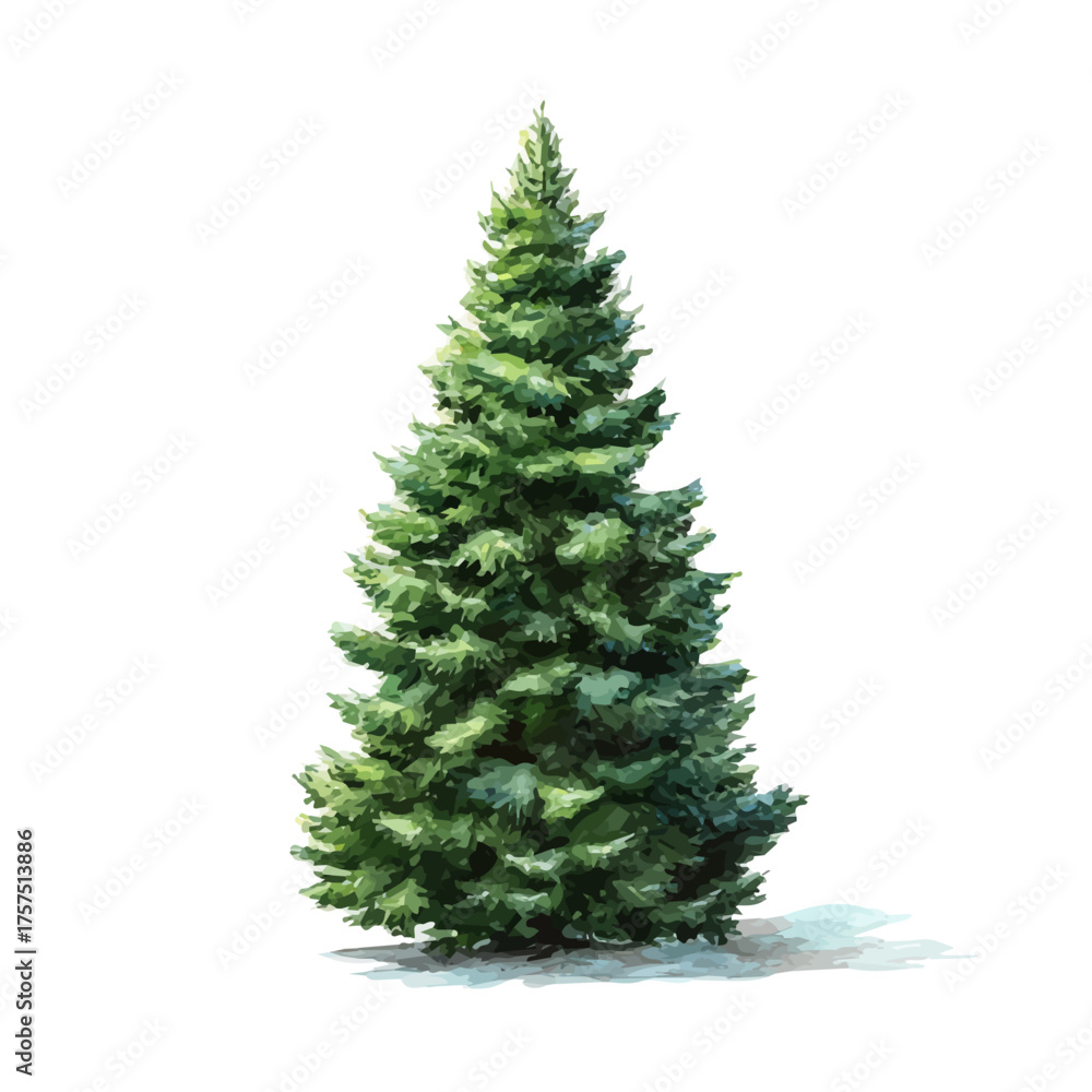 Fototapeta premium watercolor of Christmas Tree, vector, isolated on a white background.
