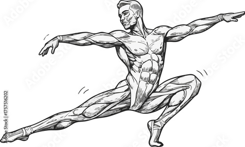 Anatomical illustration of a muscular male figure in a dynamic, athletic pose, showcasing defined musculature and graceful movement.
