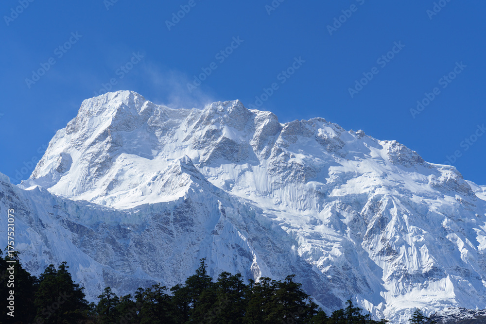 Obraz premium Snow-Capped Mountain Peak Above Pine Forest, Manaslu Region, Nepal