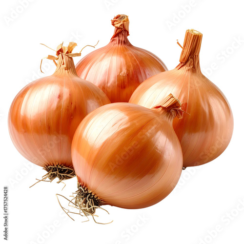 Wallpaper Mural Four Onions with Goldenbrown Skin Against Black Background Torontodigital.ca