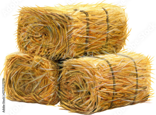 Wallpaper Mural watercolor hand drawn straw bales Torontodigital.ca