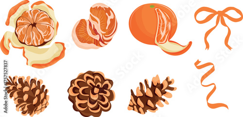 set with ripe tangerines and pine cones of various sizes with bows, for holiday packaging, textiles or other thematic design