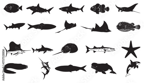 sea Fish's animals silhouette vector. Clownfish, Blue Tang, Lionfish, Manta Ray, Great White Shark, Hammerhead Shark, Whale Shark, Sea Turtle, Dolphin, Humpback Whale, Orca,