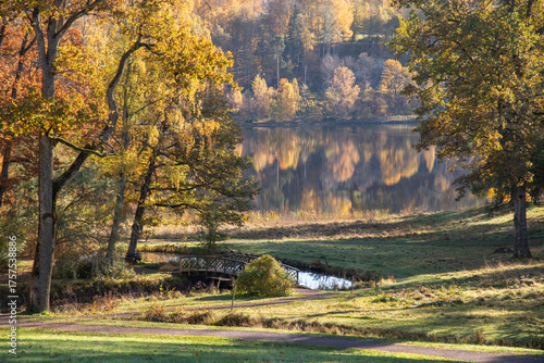 autumn landscape in the park 