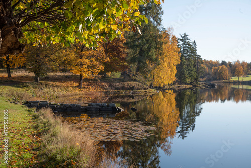 autumn landscape with lake