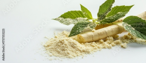 Beige powder plant stems and green leaves close up high resolution image