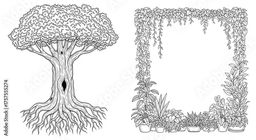 An old tree with exposed roots stands next to a floral border frame.