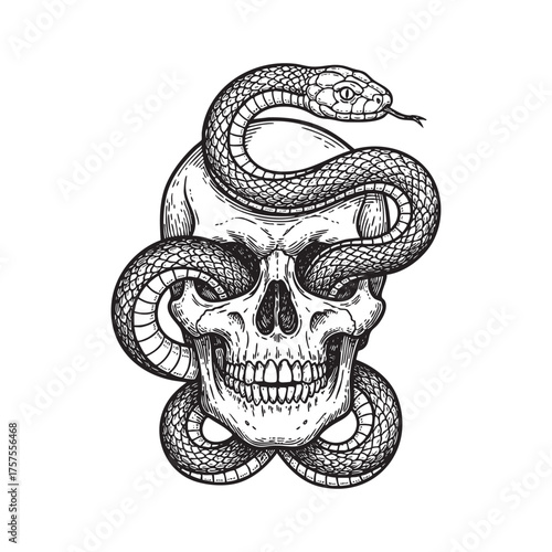 Human Skull with Coiled Snake Illustration - Gothic Death Symbol Tattoo Vector
