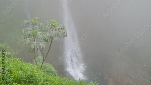 Wallpaper Mural Costa Rica A view of El Toro Falls covered in a cloud Torontodigital.ca