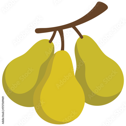  Fruit pear branch with leaves isolated on white