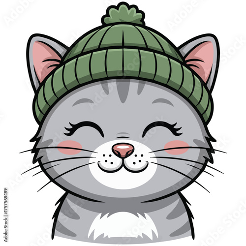 Adorable British breed kitten in winter hat scarf