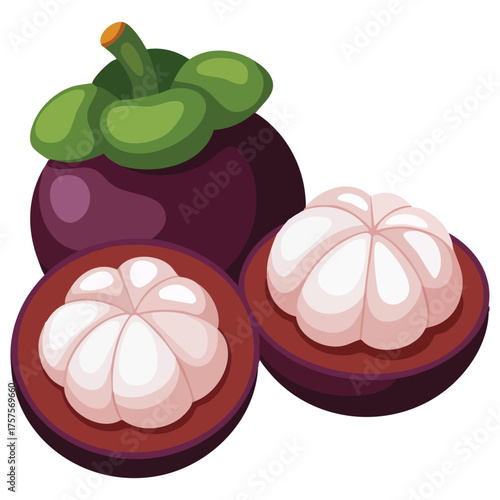 Mangosteen vector icon healthy natural detox product