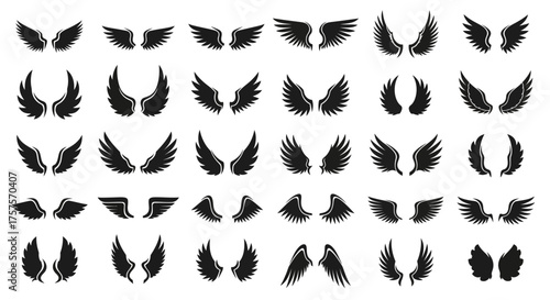 Vector illustration of vector art of collection of diverse black angel and bird wings