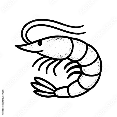Vintage black and white shrimp illustration in engraving style, rustic hand-drawn artwork ideal for seafood restaurant logos, culinary design, and marine concepts