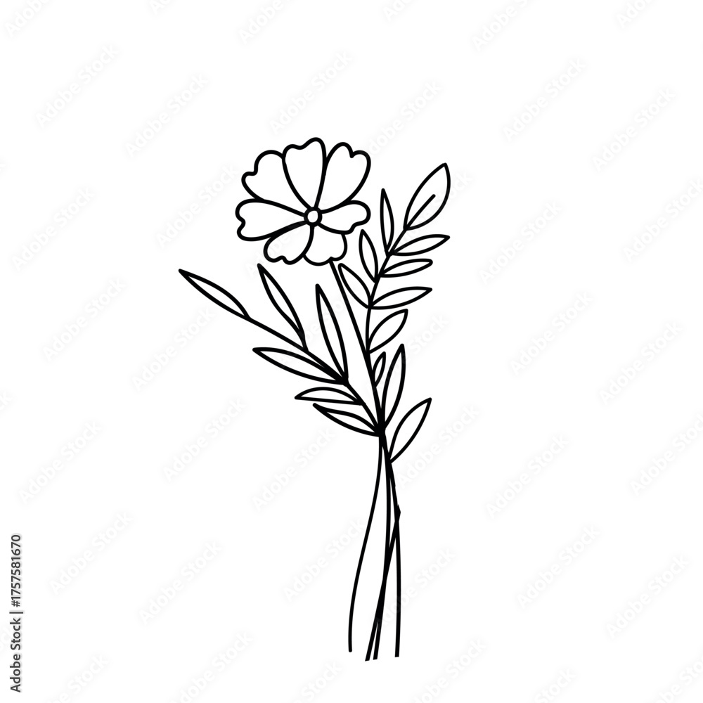 Fototapeta premium hand drawn minimalist line art drawing