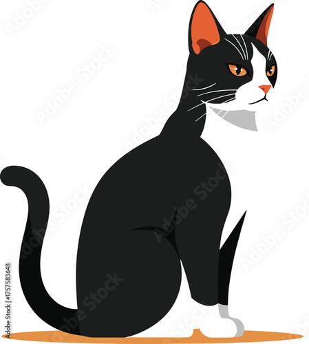A stylish black and white tuxedo cat sitting with a grumpy expression, an isolated vector illustration of a domestic feline companion