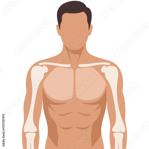 Vintage treasure chest vector artwork isolated on white background