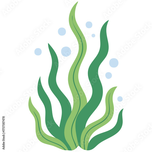 Minimalist underwater plants vector graphic isolated on white background