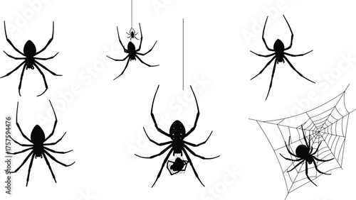 Spider silhouette vector set, hanging spider clipart, web builder icons, creepy insect graphics, Halloween arachnid illustration, horror themed art