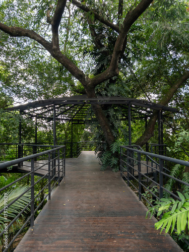Metal House Frame on Big Tree in Botanical Garden.