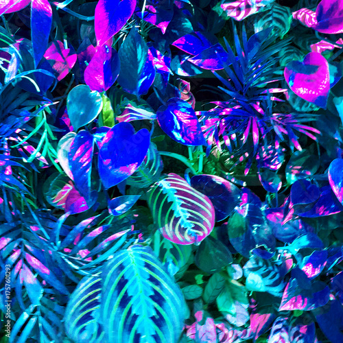 Creative fluorescent color layout made of tropical leaves. Neon colors. Nature concept.