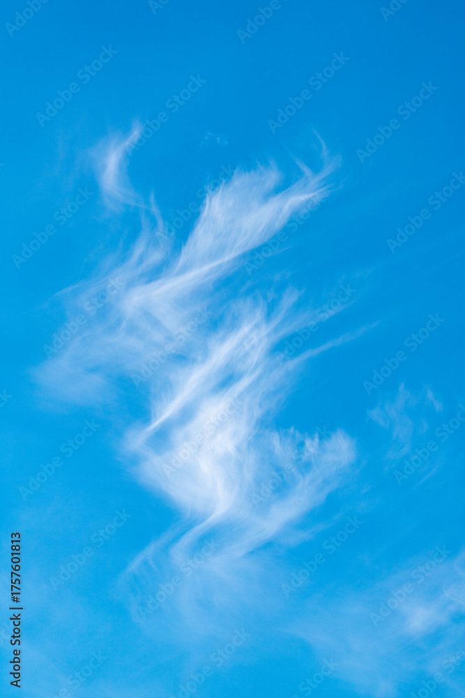 Fototapeta premium blue sky and clouds