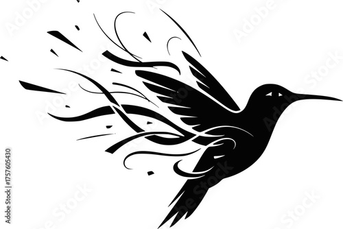 Paradise hummingbird bird isolated on a white background, black vector silhouette. EPS version.