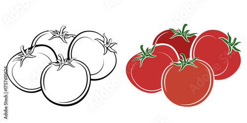 Tomato isolated on white background. Tomato Line Drawing Illustration. Food Illustration. Tomato outline black and white. Vegetables silhouette isolated