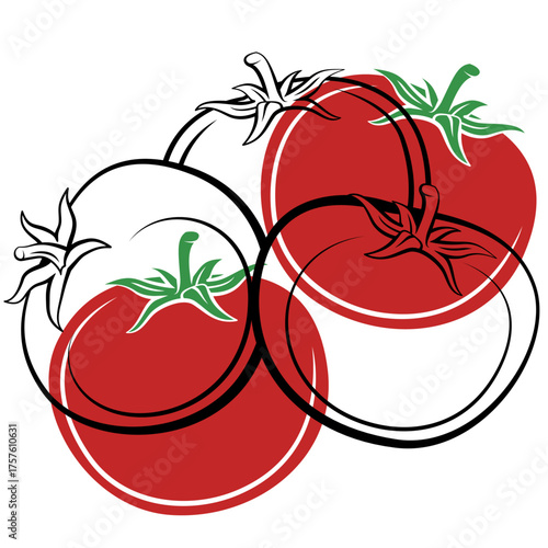 Tomato isolated on white background. Tomato Line Drawing Illustration. Food Illustration. Tomato outline black and white. Vegetables silhouette isolated