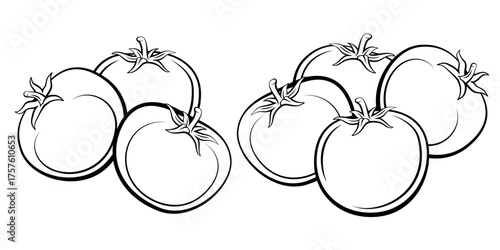 Tomato isolated on white background. Tomato Line Drawing Illustration. Food Illustration. Tomato outline black and white. Vegetables silhouette isolated