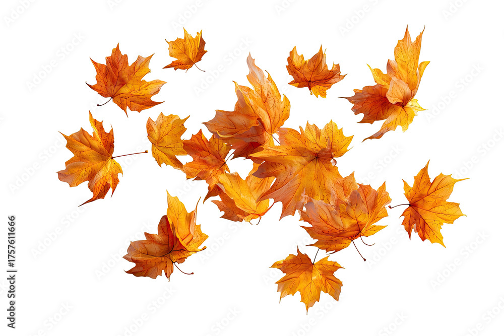 Obraz premium Autumn leaves swirling in the wind