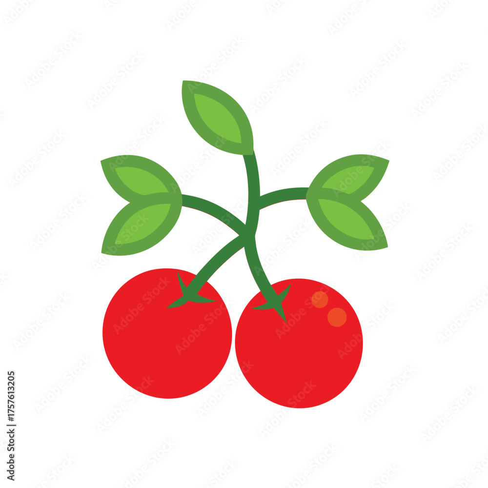 Obraz premium Cherry Tomatoes Cluster Bright Red Illustration