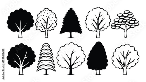 Set of Tree Elevation Outline Symbols. CAD Style Minimal Line Drawing of Trees for Architecture and Landscape Design Elevation Plans