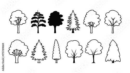 Set of Tree Elevation Outline Symbols. CAD Style Minimal Line Drawing of Trees for Architecture and Landscape Design Elevation Plans