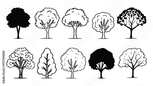 Set of Tree Elevation Outline Symbols. CAD Style Minimal Line Drawing of Trees for Architecture and Landscape Design Elevation Plans