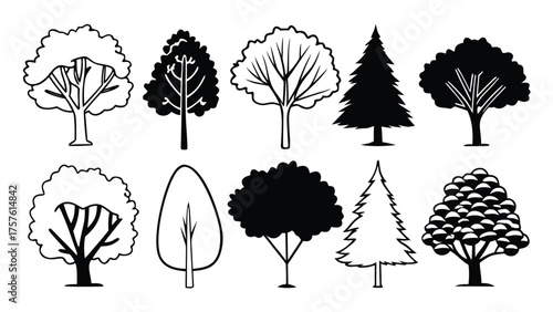 Set of Tree Elevation Outline Symbols. CAD Style Minimal Line Drawing of Trees for Architecture and Landscape Design Elevation Plans