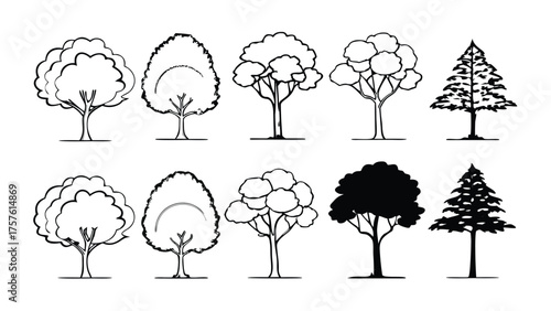 Set of Tree Elevation Outline Symbols. CAD Style Minimal Line Drawing of Trees for Architecture and Landscape Design Elevation Plans