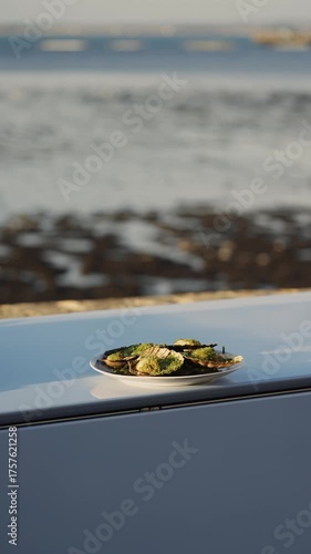 A plate of food is on a table next to a body of water. The plate is full of food, including a few pieces of broccoli. The scene is peaceful and serene, with the ocean in the background
