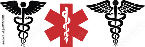 Medical symbols caduceus and star of life icons for healthcare and emergency services