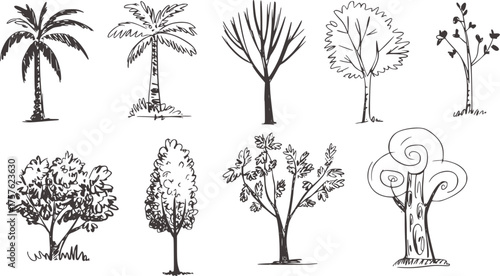 Black and white illustrations of diverse trees and plants palm trees deciduous trees