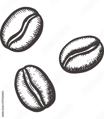 Three dark grey coffee beans sketched on white illustration