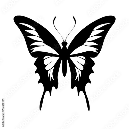 Vector art of a captivating black and white butterfly illustration, , showcasing intricate wing patterns and delicate antennae, creating a visually stunning and elegant design