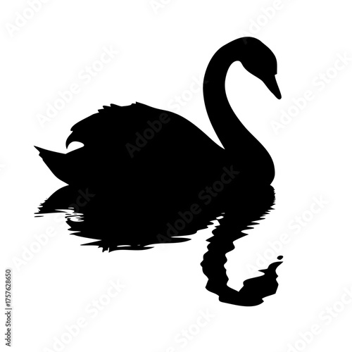 Vector art of silhouette of a black swan swimming in water graceful bird with long neck and elegant form wildlife animal in nature aquatic creature in pond or lake