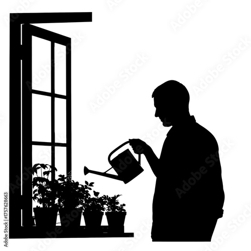 Man watering plants in window silhouette isolated on white background