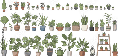 Indoor plant collection, succulents, tropical foliage, flowering plants, decorative pots, ladder shelf, cozy decor, botanical inspiration, home gardening setup