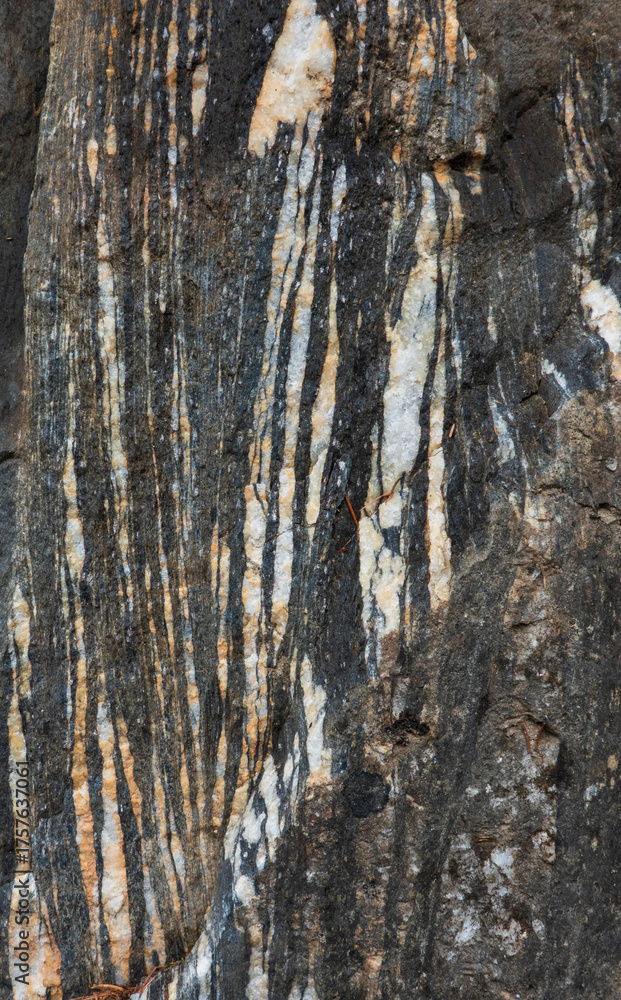 Obraz premium Close up of rock surface, gneissic banding, alternation of mafic and felsic minerals