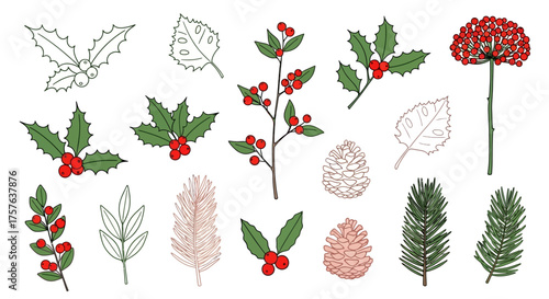 Festive Winter Botanical Elements Vector Collection for Holiday Season Designs, Featuring Hand-Drawn Illustrations of Holly, Berries, Pine Cones, and Evergreen Branches for Christmas Decorations