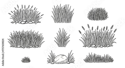 Hand-drawn grass and vegetation collection. Black and white sketchy illustrations featuring diverse grass clumps, reeds, cattails, and stones, ideal for organic nature designs and landscapes